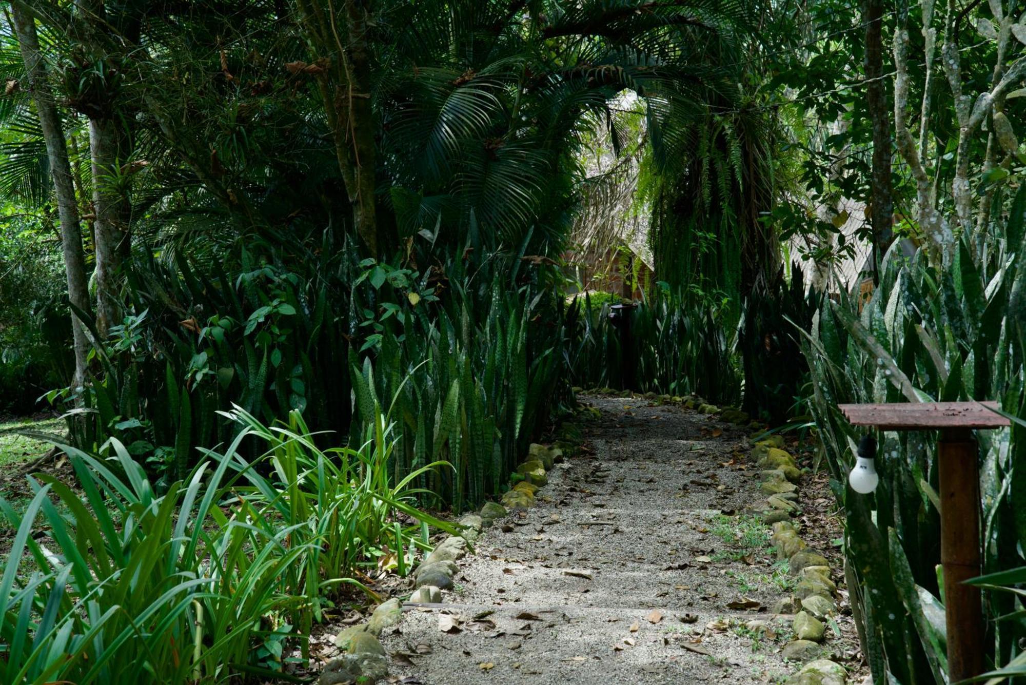 Samai Lodge Holistic Living Olon Bagian luar foto
